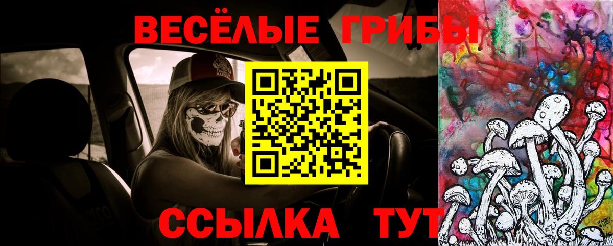 Псилоцибиновые грибы Psilocybine cubensis  Вход с VPN  Лиски 